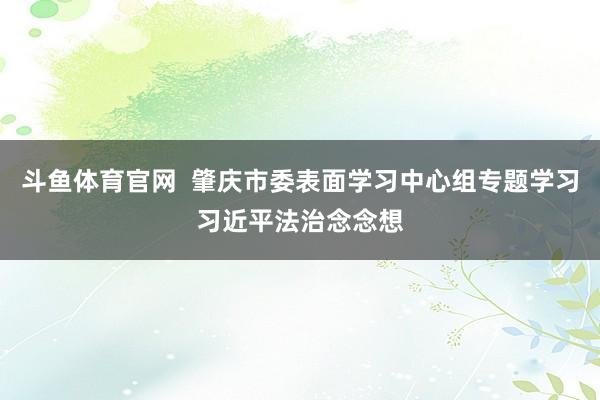斗鱼体育官网  肇庆市委表面学习中心组专题学习习近平法治念念想
