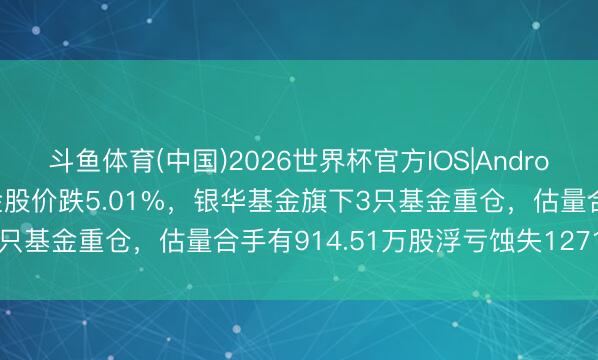 斗鱼体育(中国)2026世界杯官方IOS|Android手机app下载 湖南黄金股价跌5.01%，银华基金旗下3只基金重仓，估量合手有914.51万股浮亏蚀失1271.17万元