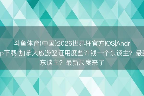 斗鱼体育(中国)2026世界杯官方IOS|Android手机
