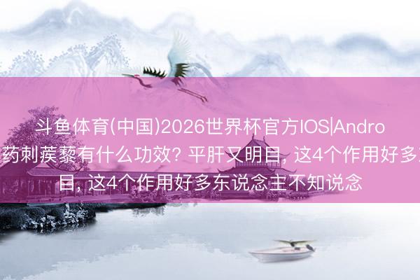 斗鱼体育(中国)2026世界杯官方IOS|Android手机app下载 中药刺蒺藜有什么功效? 平肝又明目， 这4个作用好多东说念主不知说念